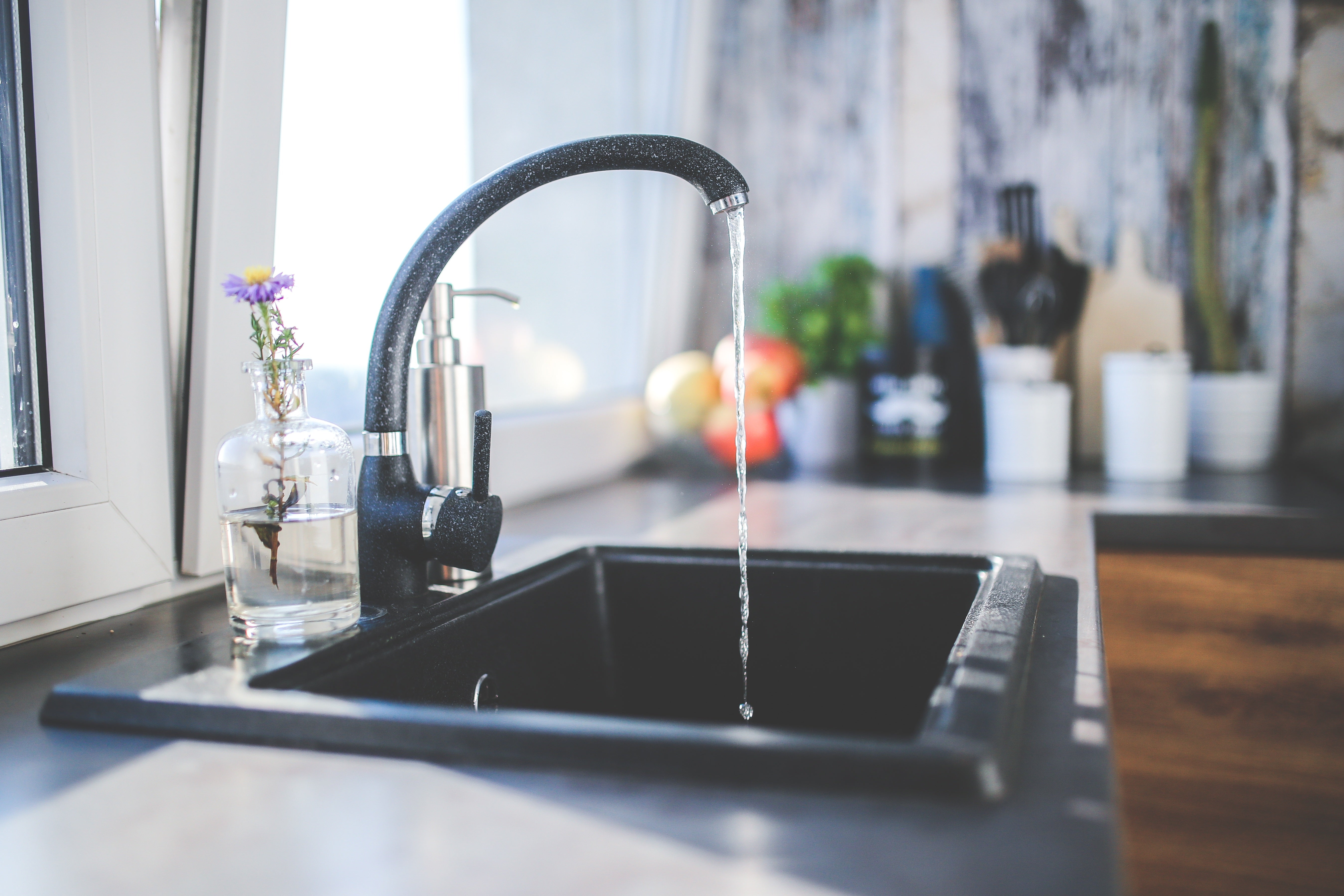 Reverse Osmosis vs Carbon Filters in NZ: What’s Best for Your Water?